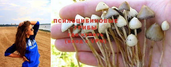 ECSTASY Балабаново